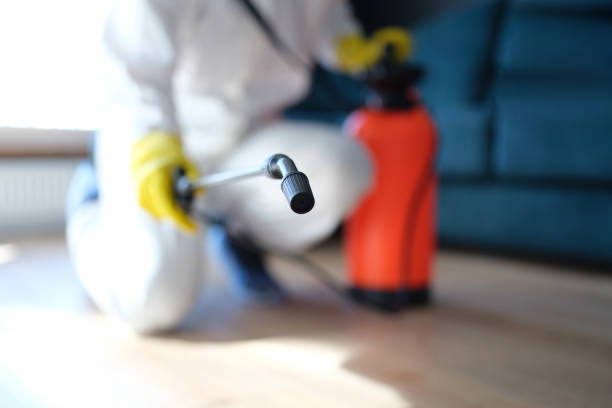 Best Mold Odor Removal Services  in Emerson, NJ